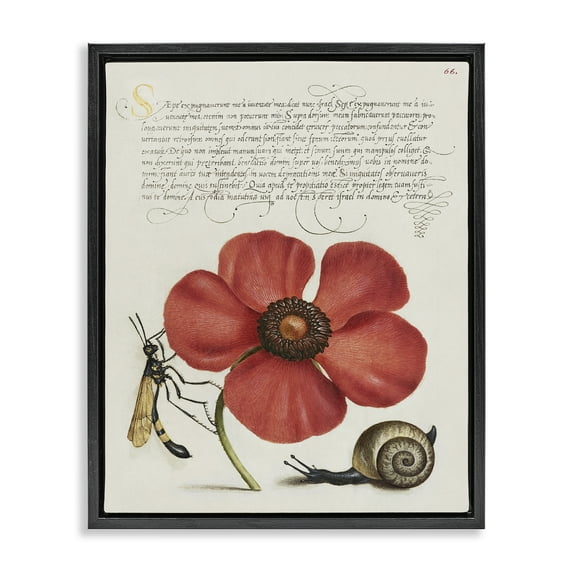 Stupell Industries Vintage Insects on Flower Text & Numbers Painting Black Floater Framed Canvas Art Print Wall Art, 17 x 21