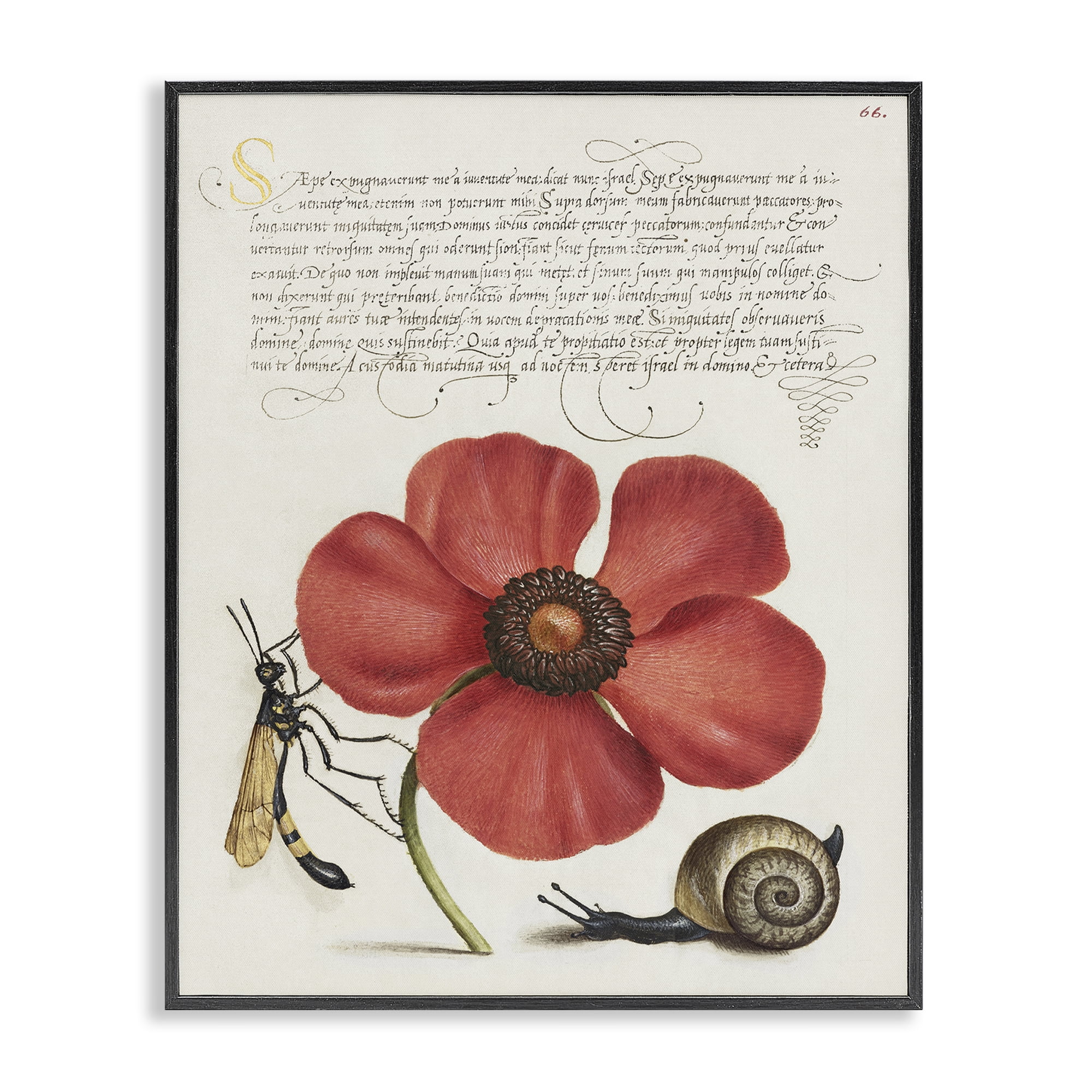 Stupell Industries Vintage Insects on Flower Text & Numbers Painting Black Framed Art Print Wall Art, 11 x 14