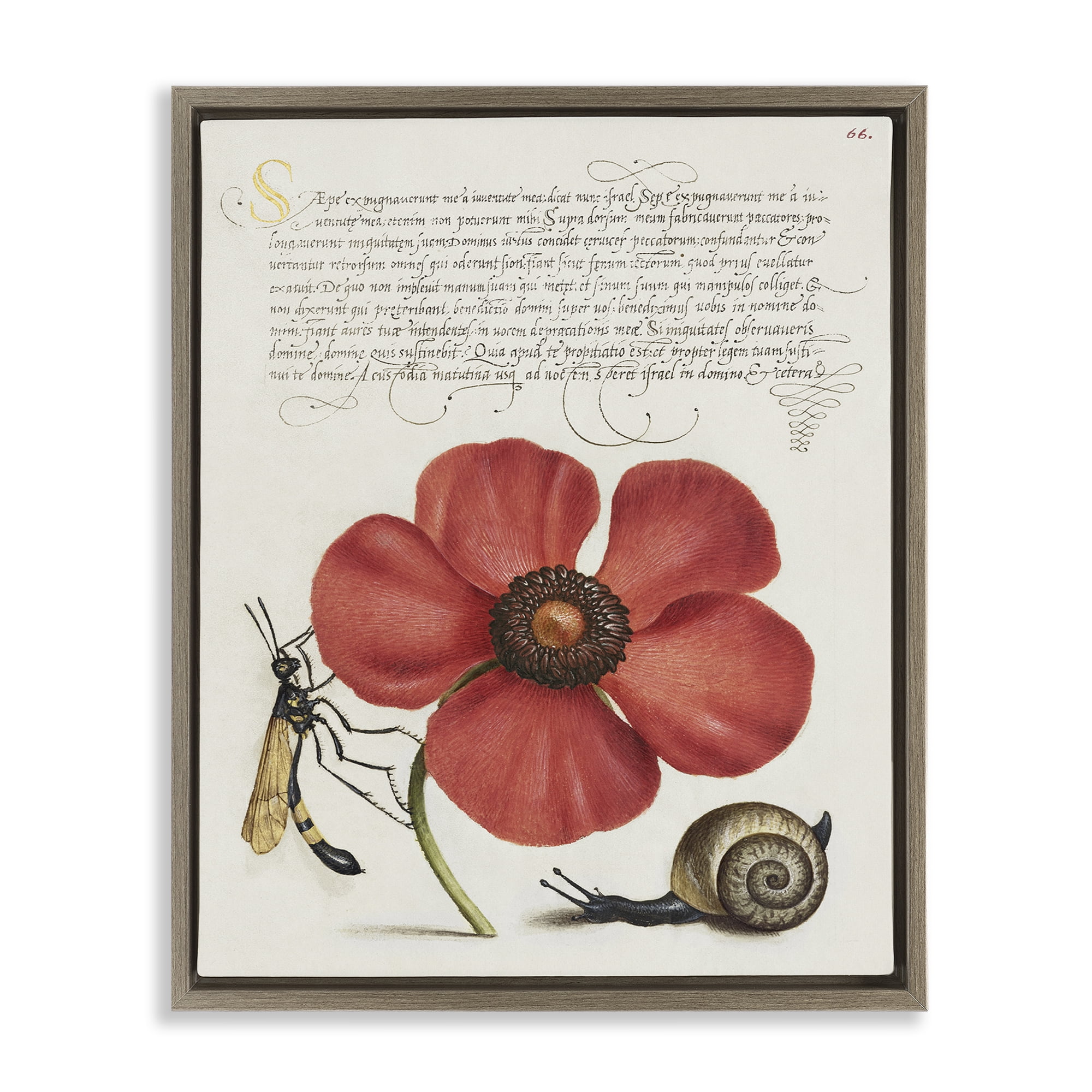 Stupell Industries Vintage Insects on Flower Text & Numbers Painting Brown Floater Framed Canvas Art Print Wall Art, 17 x 21
