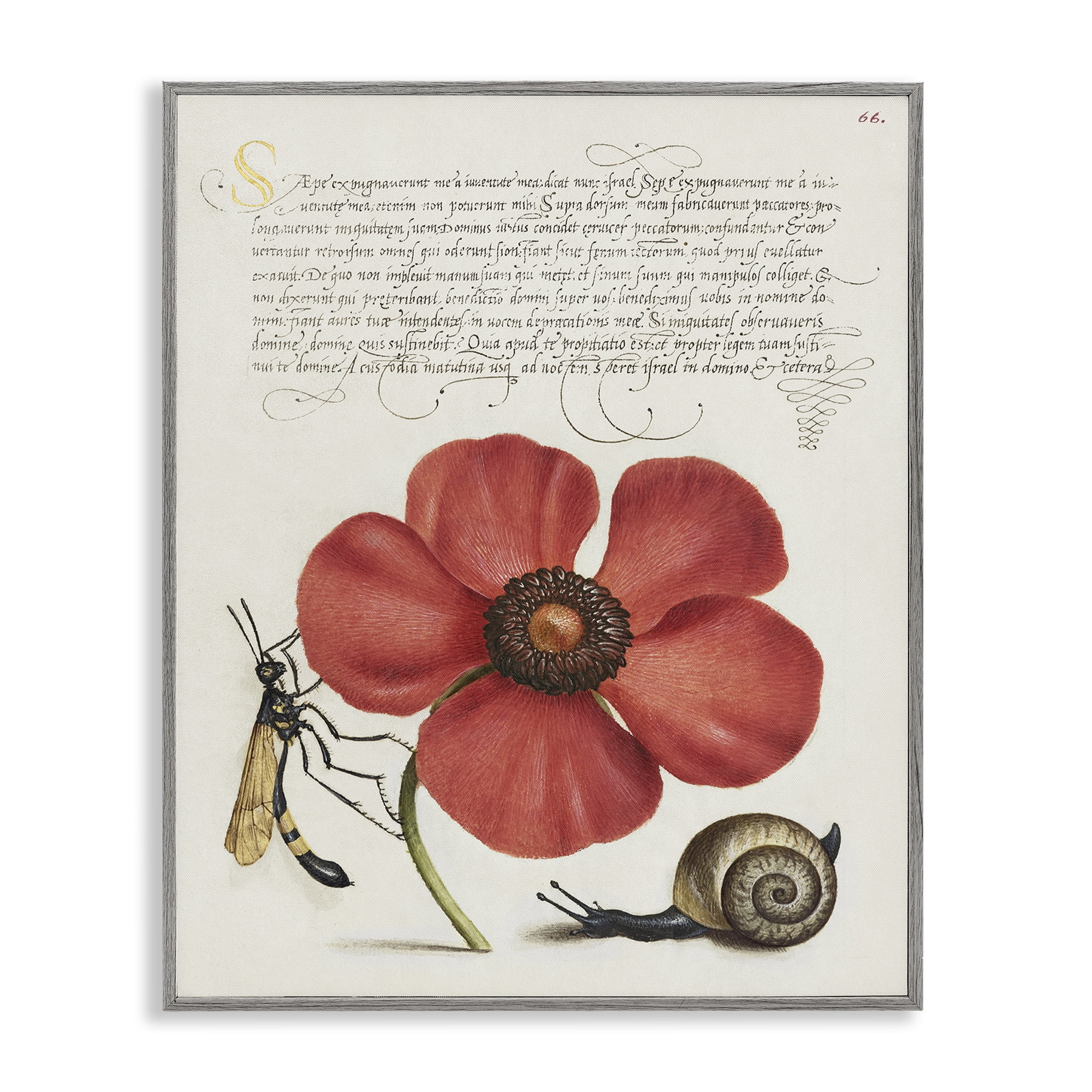Stupell Industries Vintage Insects on Flower Text & Numbers Painting Gray Framed Art Print Wall Art, 16 x 20