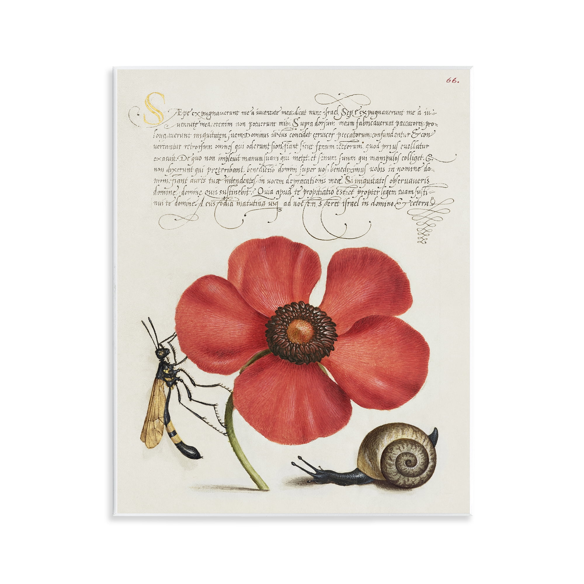 Stupell Industries Vintage Insects on Flower Text & Numbers Painting Unframed Art Print Wall Art, 11 x 14