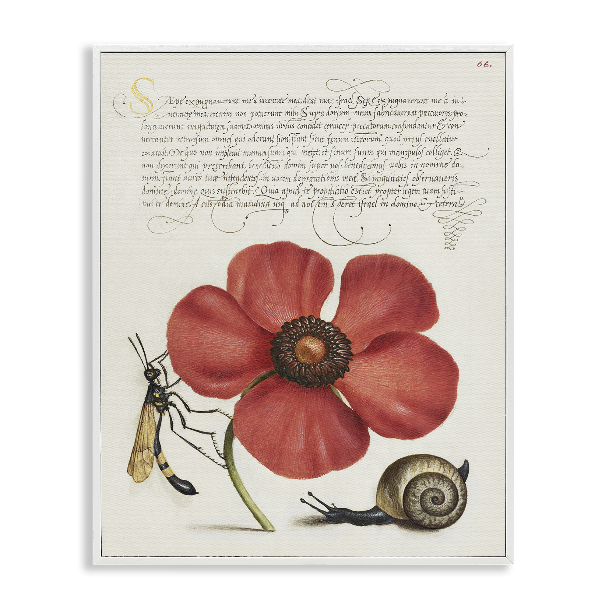 Stupell Industries Vintage Insects on Flower Text & Numbers Painting White Framed Art Print Wall Art, 11 x 14