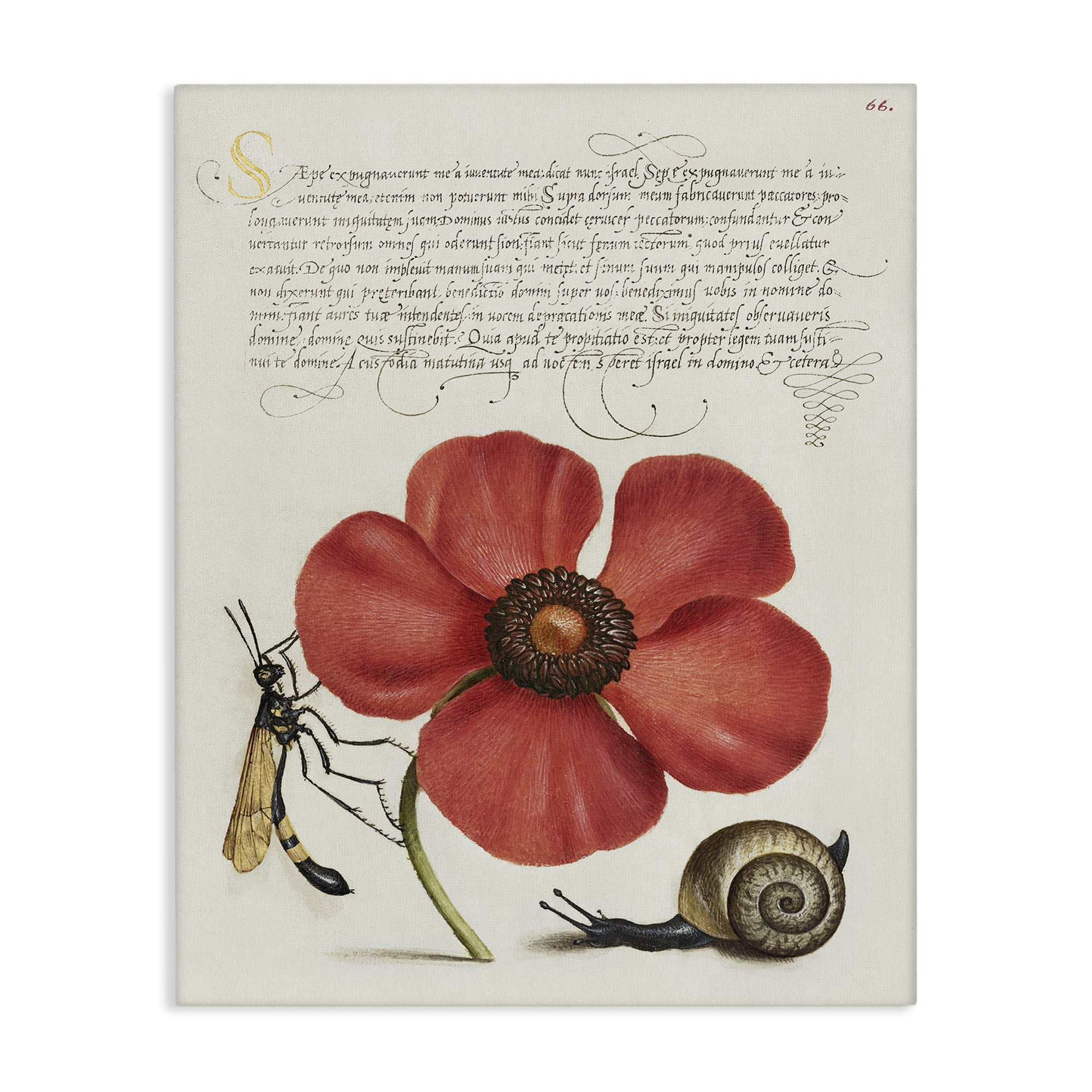 Stupell Industries Vintage Insects on Flower Text & Numbers Painting Wrapped Canvas Art Print Wall Art, 16 x 20