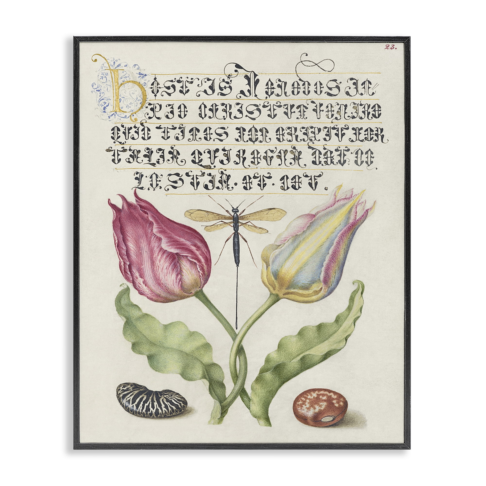 Stupell Industries Vintage Intertwined Flowers Text & Numbers Painting Black Framed Art Print Wall Art, 24 x 30