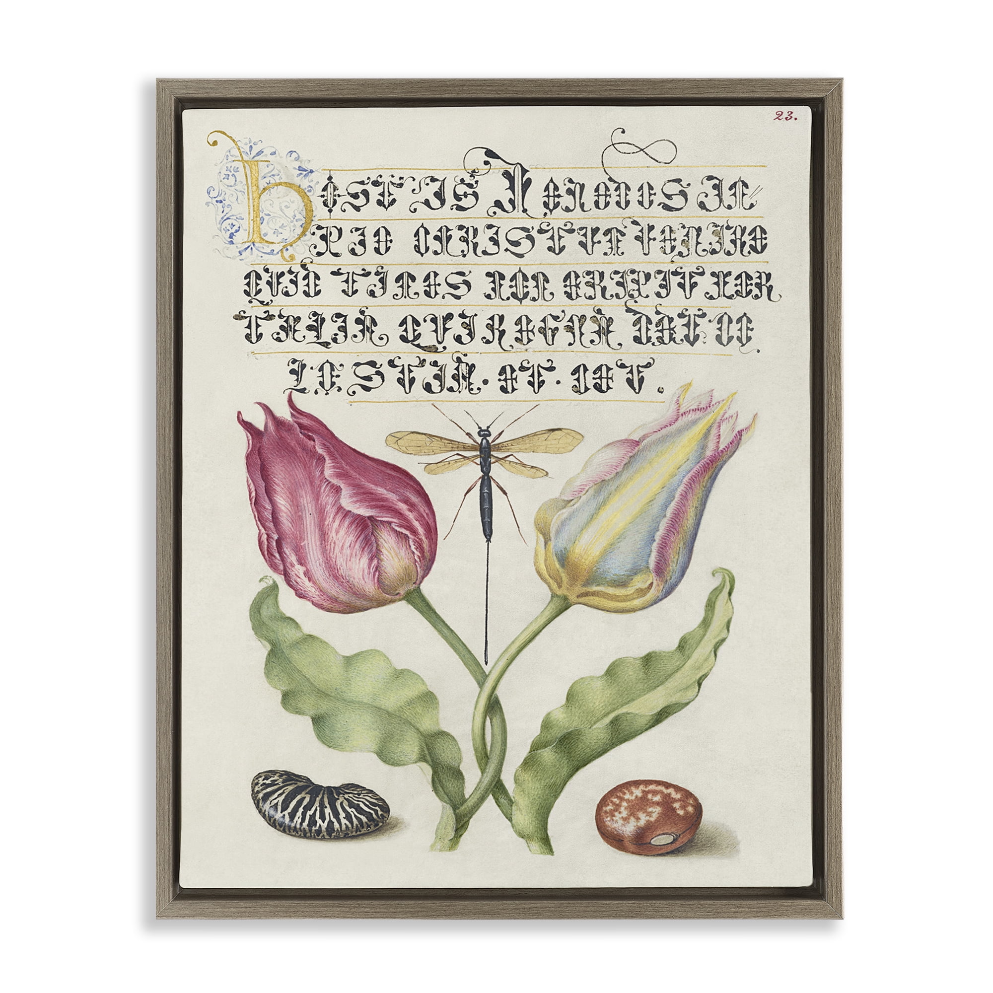 Stupell Industries Vintage Intertwined Flowers Text & Numbers Painting Brown Floater Framed Canvas Art Print Wall Art, 25 x 31