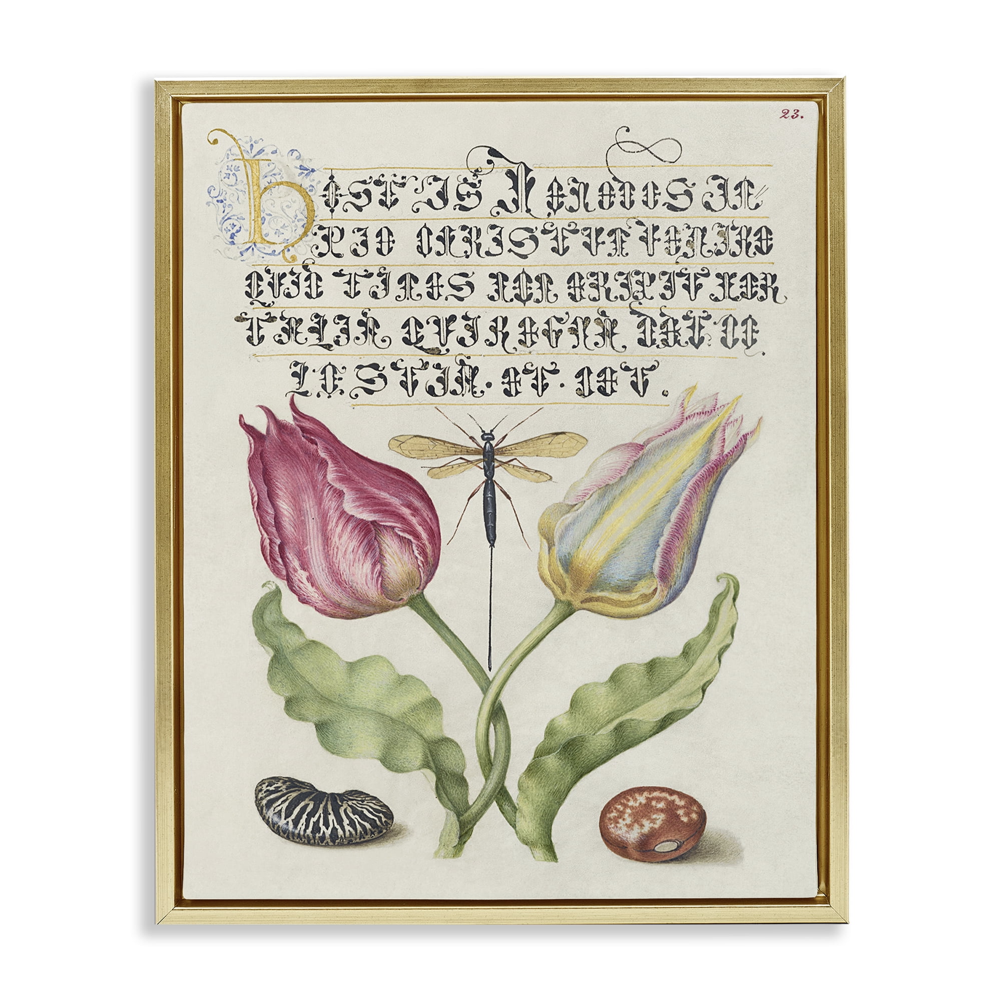 Stupell Industries Vintage Intertwined Flowers Text & Numbers Painting Gold Floater Framed Canvas Art Print Wall Art, 17 x 21