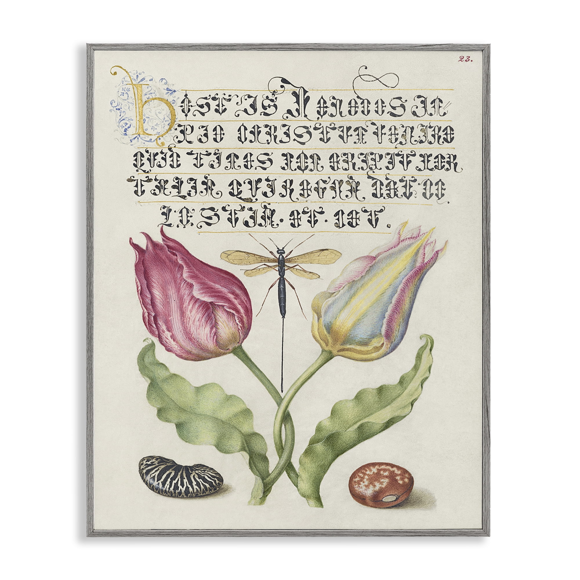 Stupell Industries Vintage Intertwined Flowers Text & Numbers Painting Gray Framed Art Print Wall Art, 16 x 20