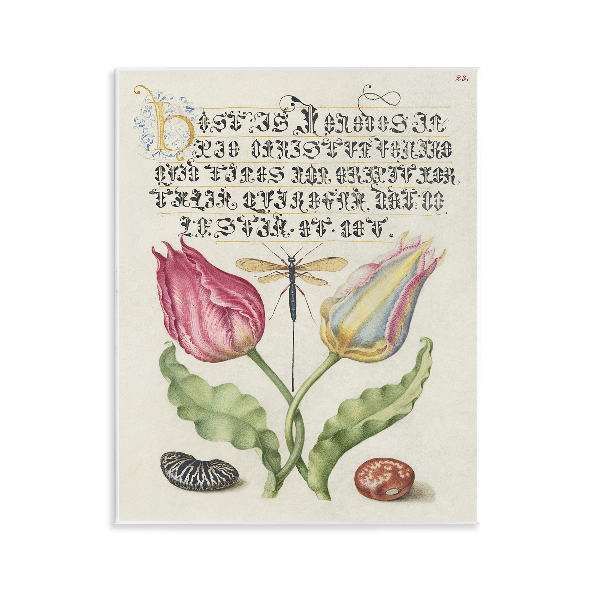 Stupell Industries Vintage Intertwined Flowers Text & Numbers Painting Unframed Art Print Wall Art, 11 x 14