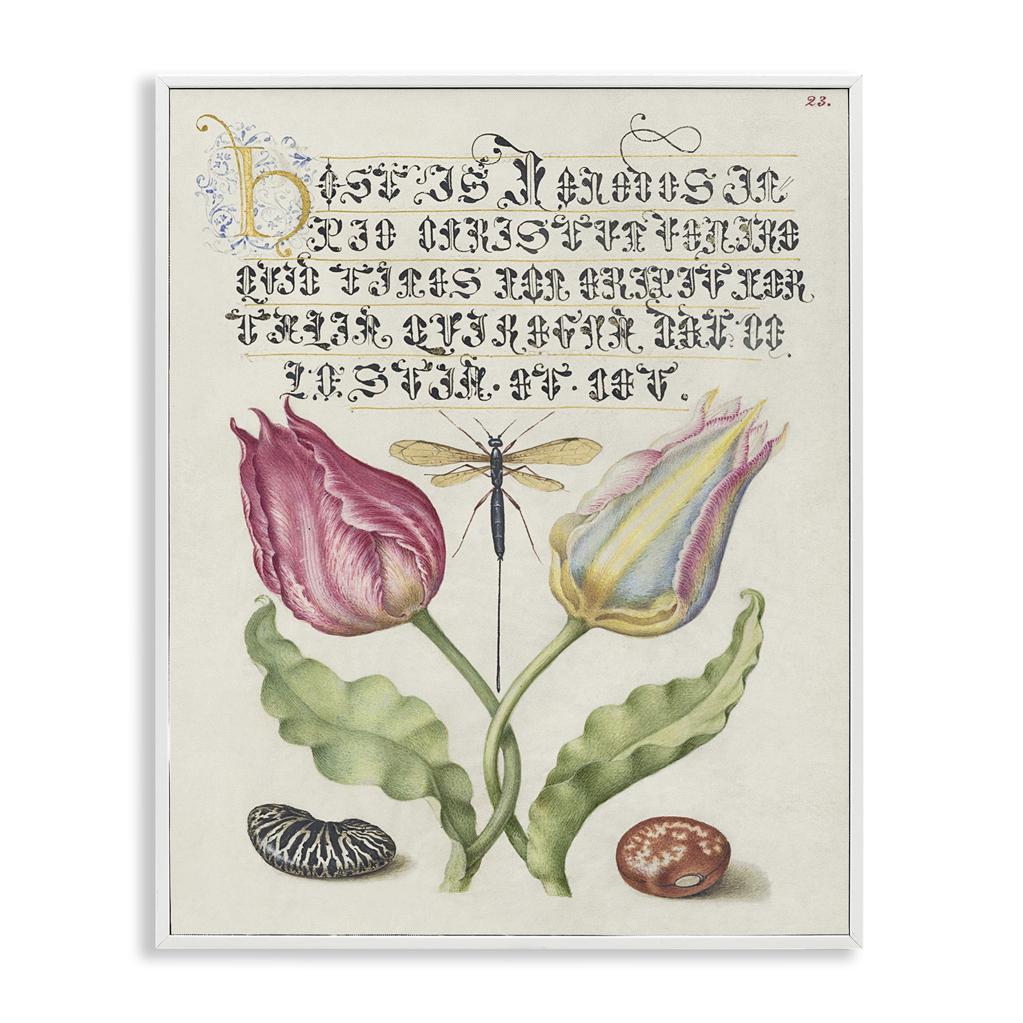 Stupell Industries Vintage Intertwined Flowers Text & Numbers Painting White Framed Art Print Wall Art, 16 x 20