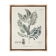 thumbnail image 1 of Stupell Industries Vintage Leaf Diagram Botanical & Floral Painting Brown Floater Framed Canvas Art Print Wall Art, 25 x 31, 1 of 10
