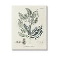 thumbnail image 1 of Stupell Industries Vintage Leaf Diagram Botanical & Floral Painting Gallery Wrapped Canvas Art Print Wall Art, 36 x 48, 1 of 8