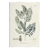 Stupell Industries Vintage Leaf Diagram Botanical & Floral Painting Unframed Art Print Wall Art, 10 x 15