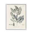 thumbnail image 1 of Stupell Industries Vintage Leaf Diagram Botanical & Floral Painting White Framed Art Print Wall Art, 11 x 14, 1 of 9