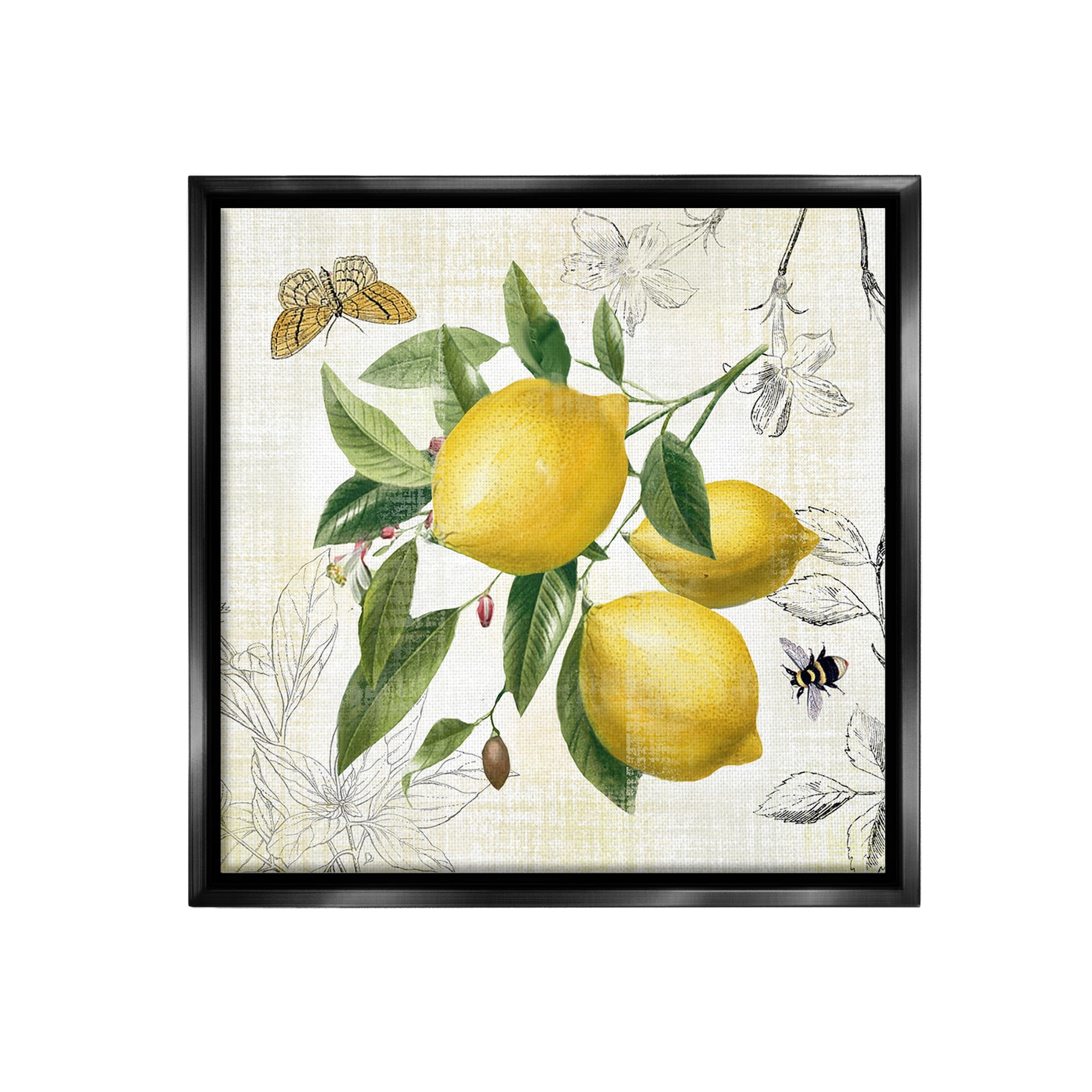 Stupell Industries Vintage Lemon Blossoms Food & Beverage Painting Black Floater Framed Canvas Art Print Wall Art, 18 x 18