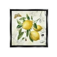 thumbnail image 1 of Stupell Industries Vintage Lemon Blossoms Food & Beverage Painting Black Floater Framed Canvas Art Print Wall Art, 18 x 18, 1 of 10