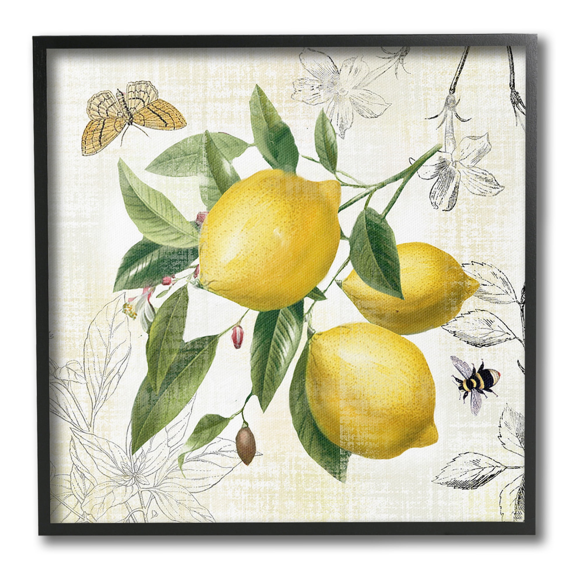 Stupell Industries Vintage Lemon Blossoms Food & Beverage Painting Black Framed Art Print Wall Art, 17 x 17