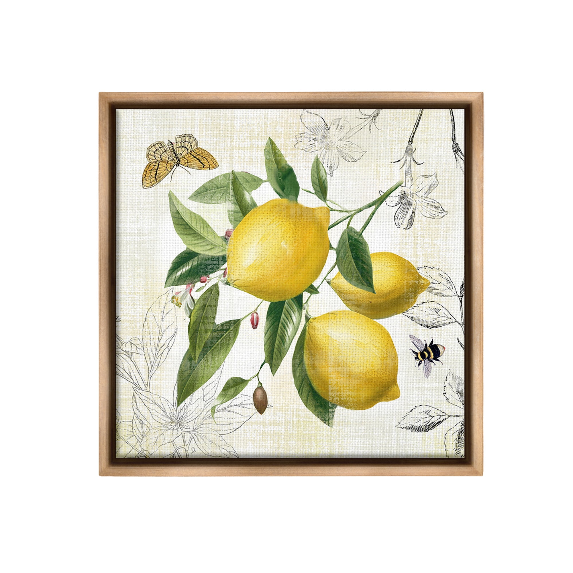 Stupell Industries Vintage Lemon Blossoms Food & Beverage Painting Brown Floater Framed Canvas Art Print Wall Art, 25 x 25