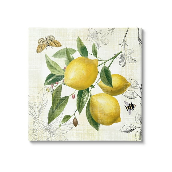 Stupell Industries Vintage Lemon Blossoms Food & Beverage Painting Gallery Wrapped Canvas Art Print Wall Art, 17 x 17