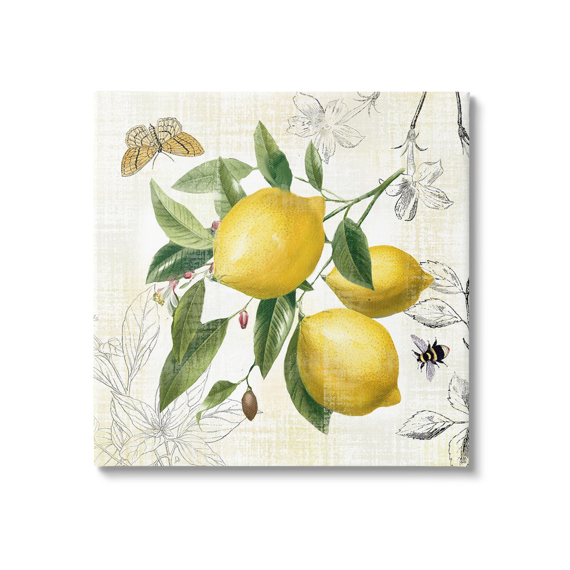 Stupell Industries Vintage Lemon Blossoms Food & Beverage Painting Gallery Wrapped Canvas Art Print Wall Art, 30 x 30