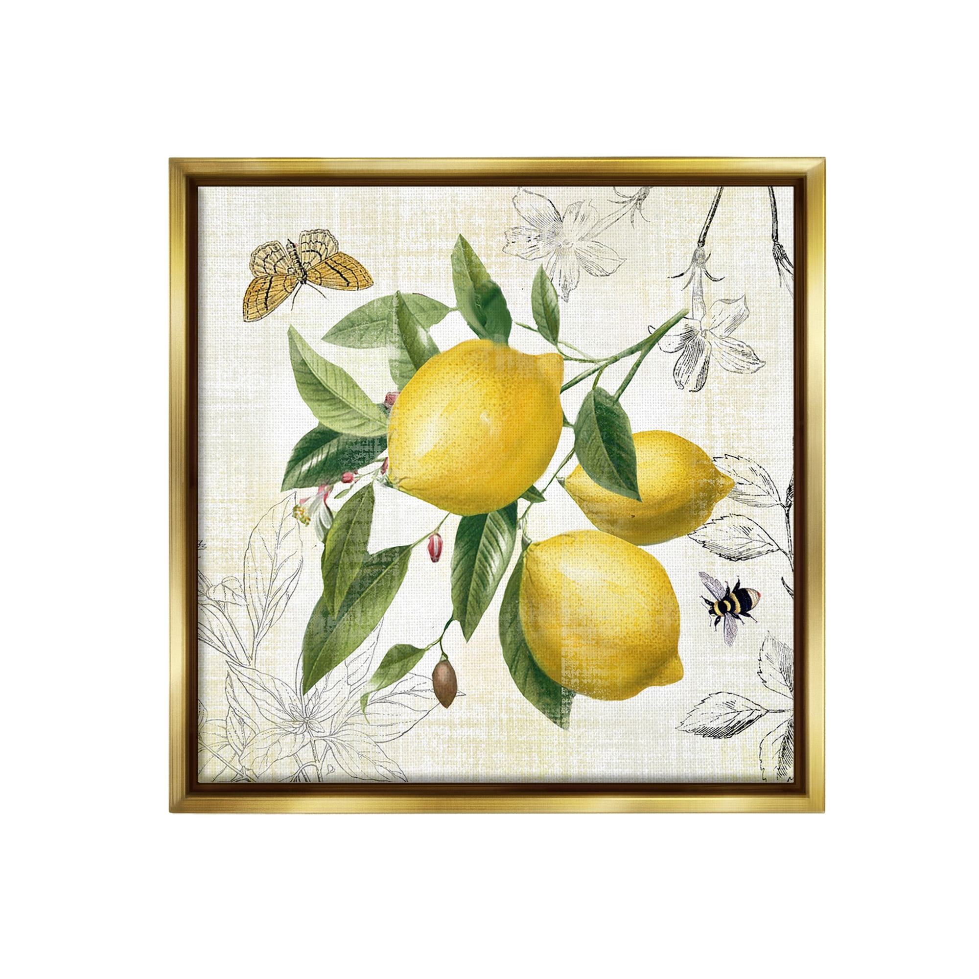 Stupell Industries Vintage Lemon Blossoms Food & Beverage Painting Gold Floater Framed Canvas Art Print Wall Art, 25 x 25