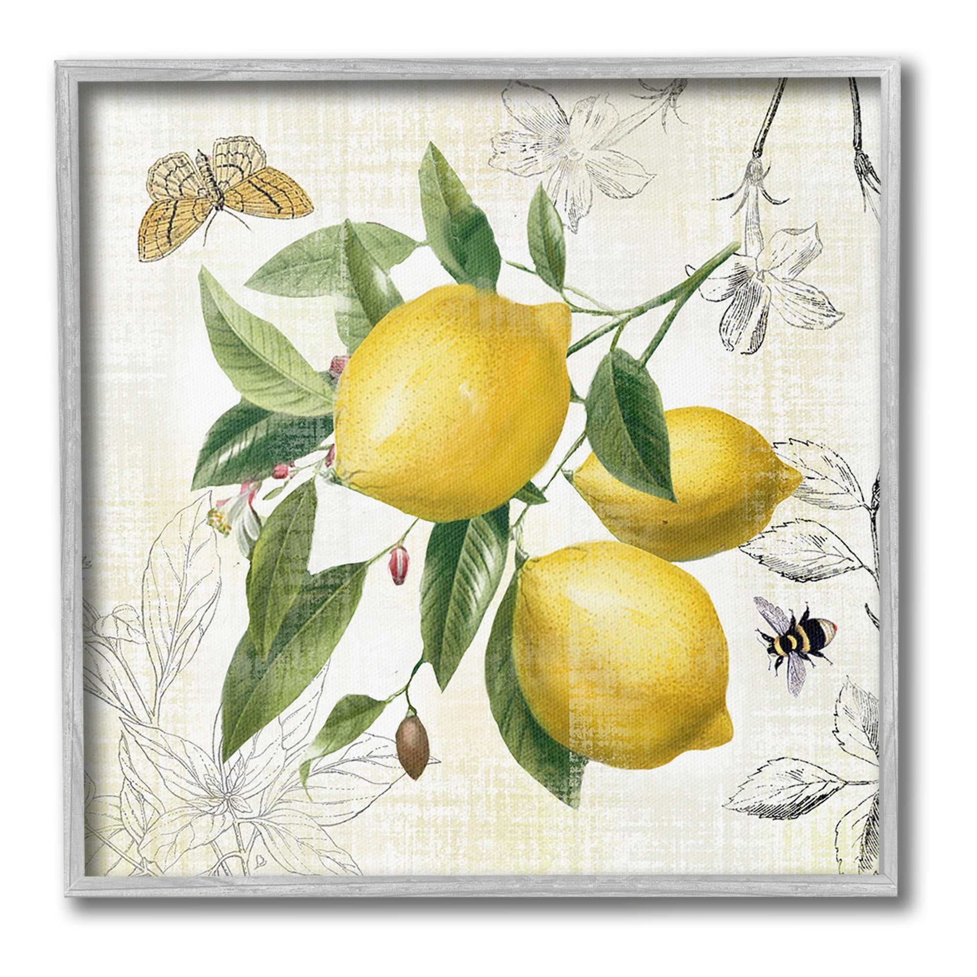 Stupell Industries Vintage Lemon Blossoms Food & Beverage Painting Gray Framed Art Print Wall Art, 17 x 17