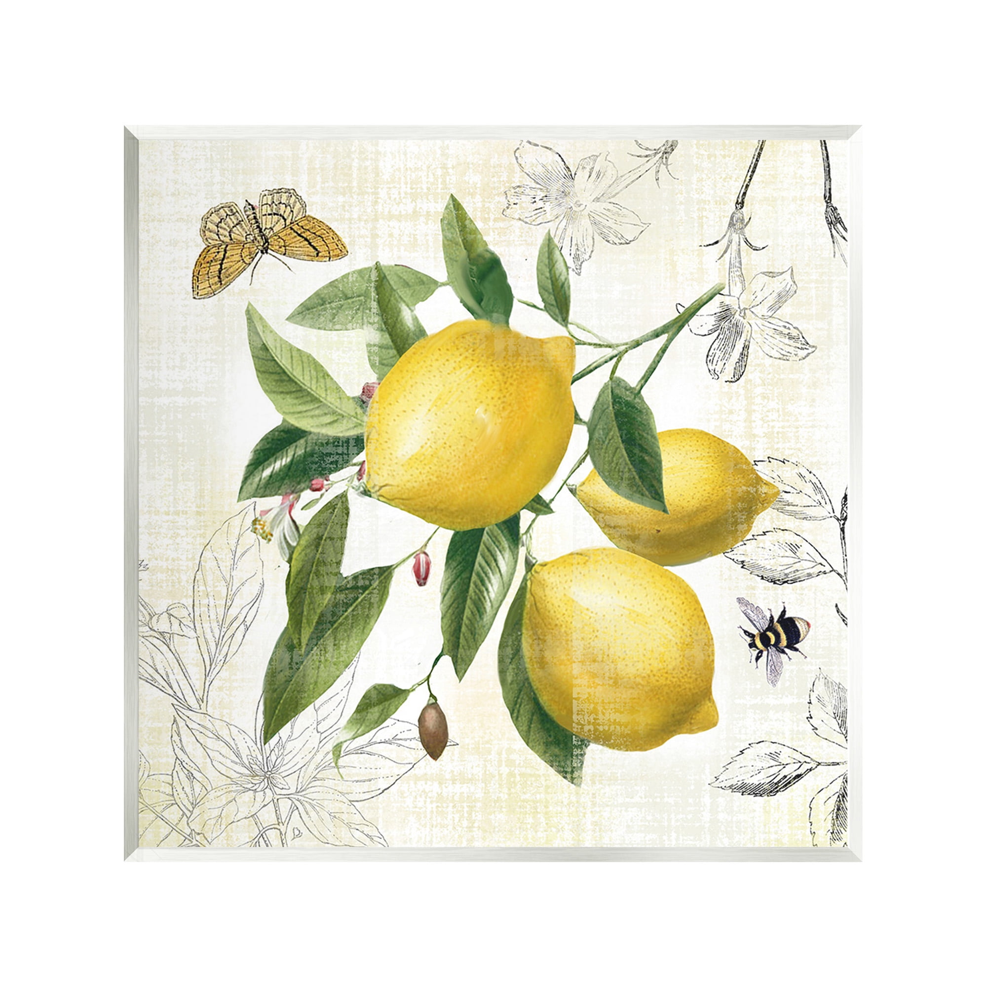 Stupell Industries Vintage Lemon Blossoms Food & Beverage Painting Unframed Art Print Wall Art, 12 x 12