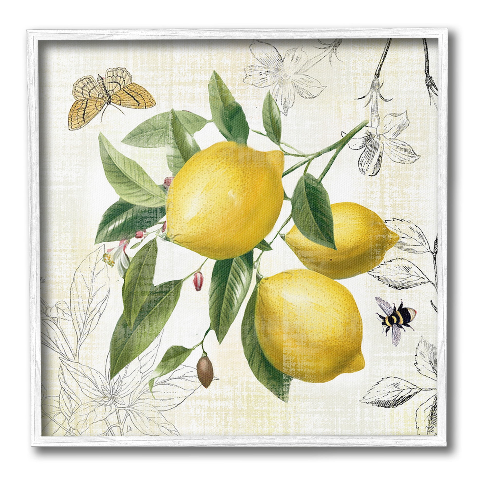 Stupell Industries Vintage Lemon Blossoms Food & Beverage Painting White Framed Art Print Wall Art, 17 x 17