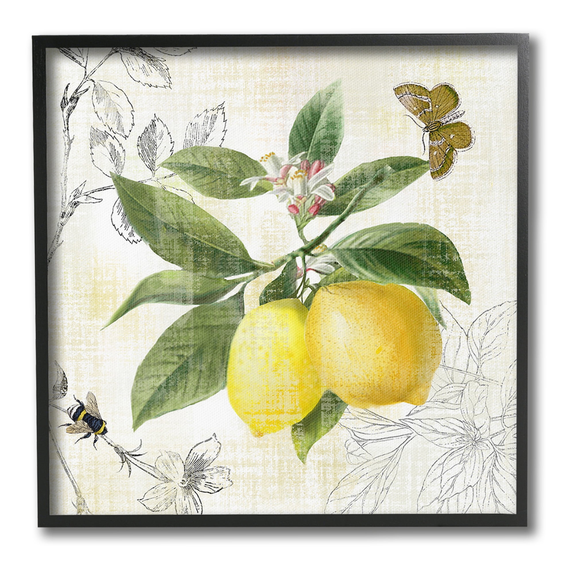 Stupell Industries Vintage Lemon Pattern Food & Beverage Painting Black Framed Art Print Wall Art, 12 x 12