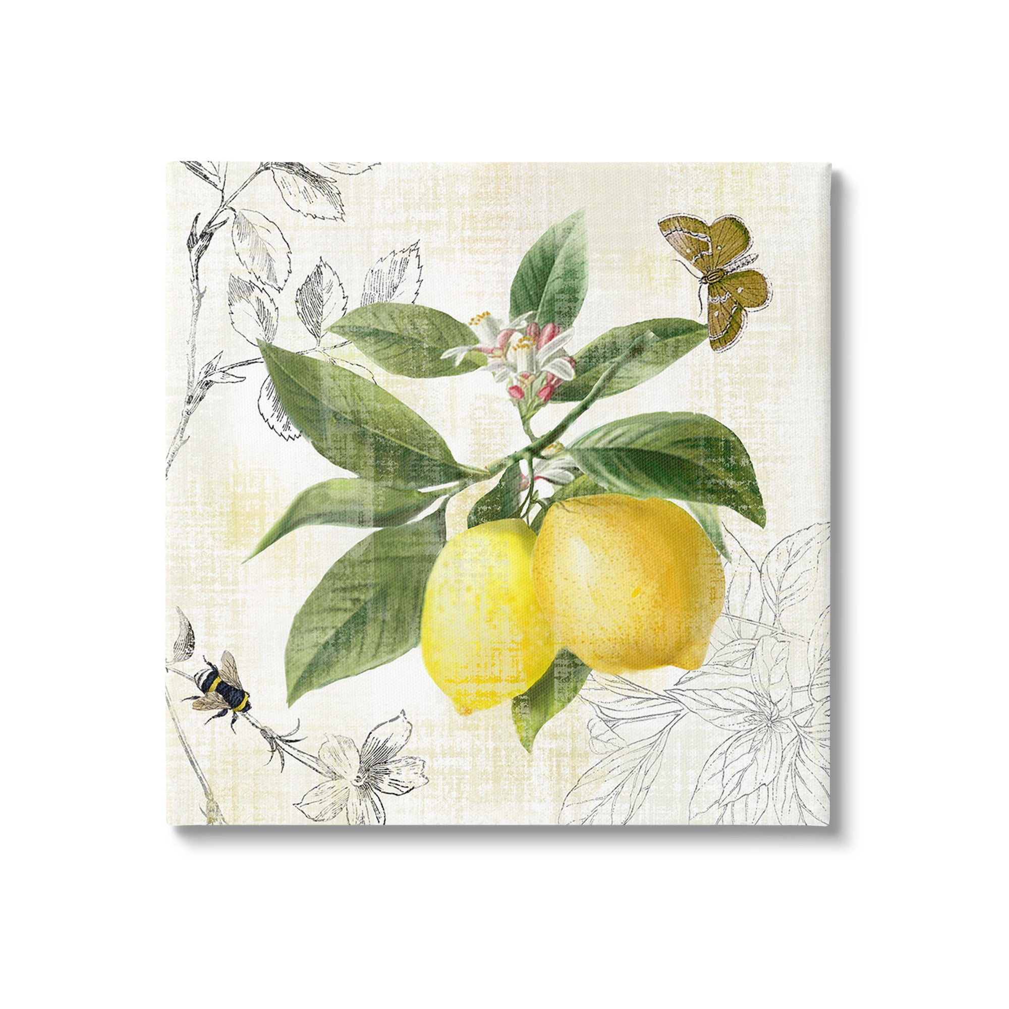 Stupell Industries Vintage Lemon Pattern Food & Beverage Painting Gallery Wrapped Canvas Art Print Wall Art, 24 x 24