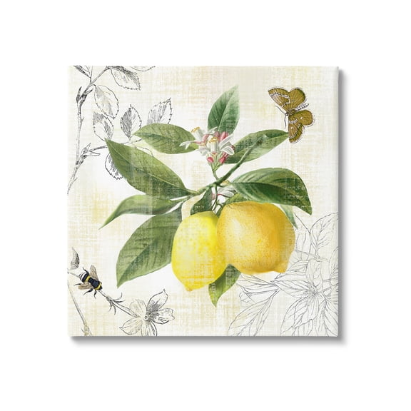 Stupell Industries Vintage Lemon Pattern Food & Beverage Painting Gallery Wrapped Canvas Art Print Wall Art, 30 x 30