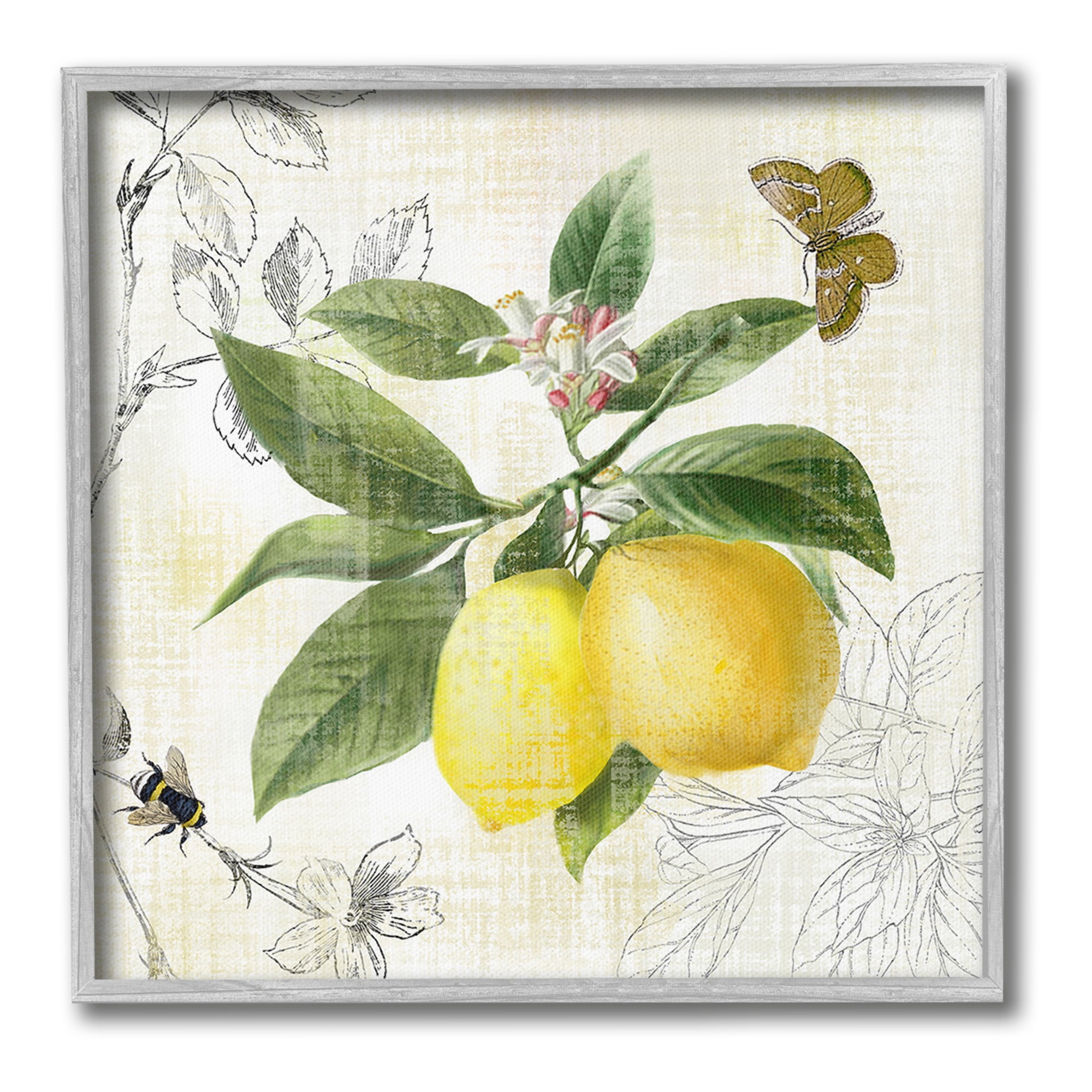 Stupell Industries Vintage Lemon Pattern Food & Beverage Painting Gray Framed Art Print Wall Art, 12 x 12