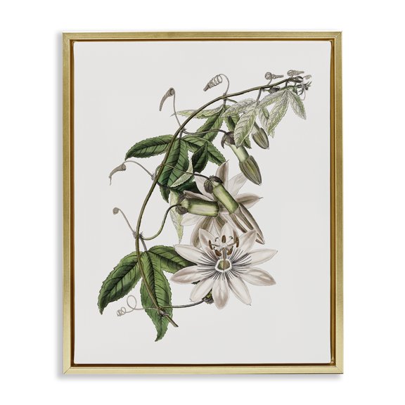 Stupell Industries Vintage Lily Plant Floral Painting Gold Floater Framed Canvas Art Print Wall Art, 25 x 31