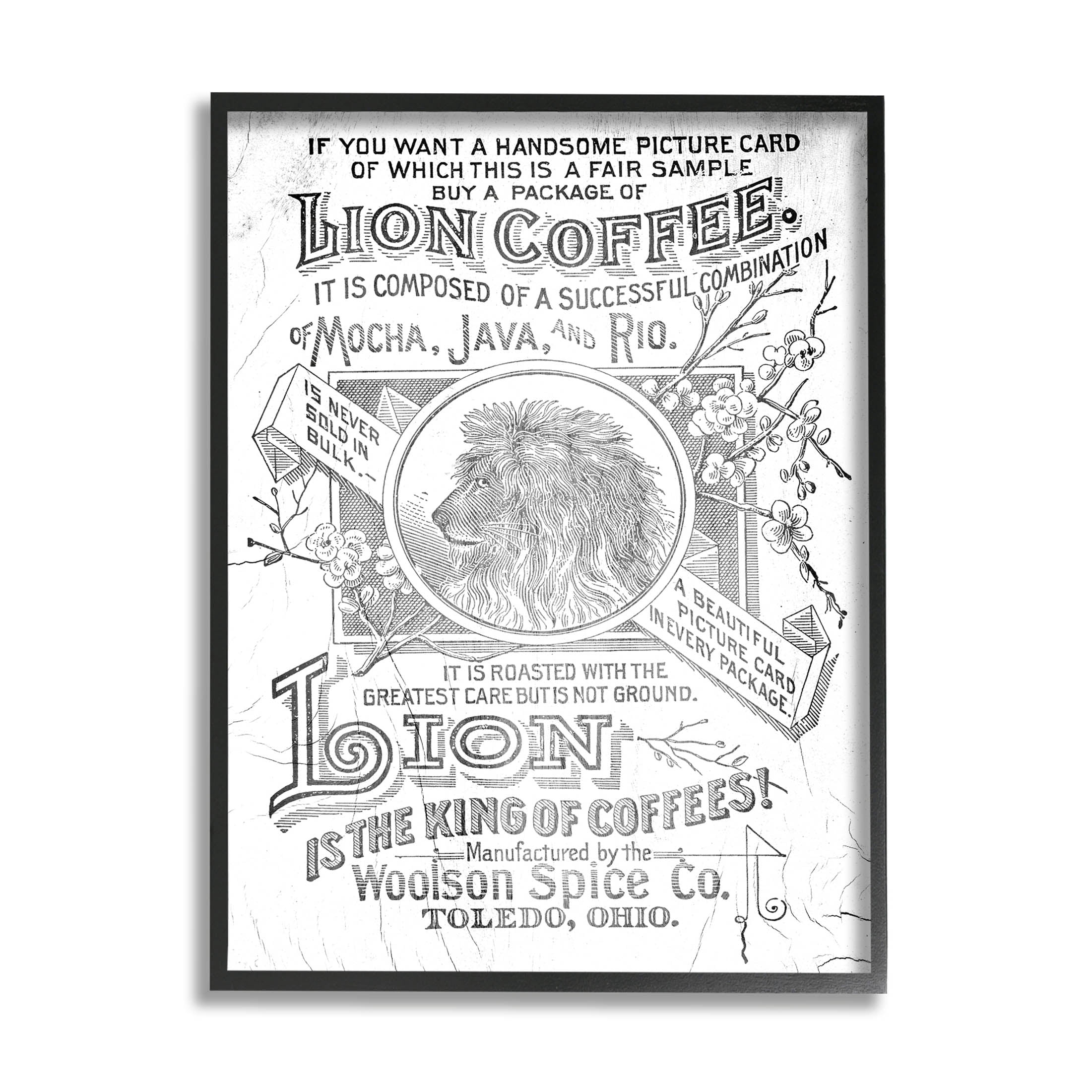 Stupell Industries Vintage Lion Coffee Poster Graphic Art Black Framed Art Print Wall Art, Design by Lil' Rue