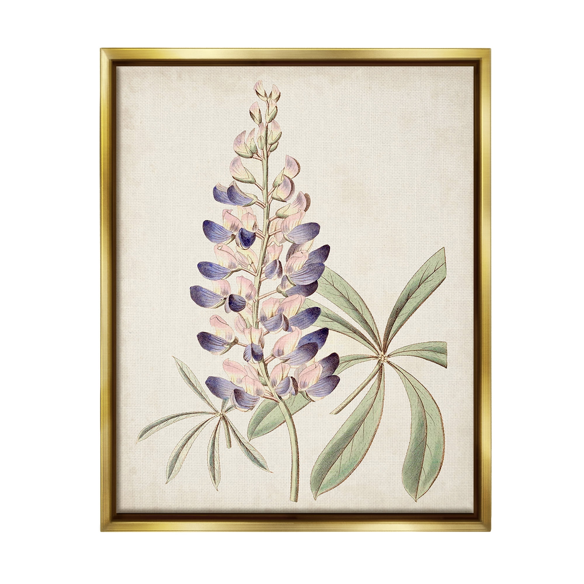 Stupell Industries Vintage Lupin Plant Botanical & Floral Painting Gold Floater Framed Canvas Art Print Wall Art, 17 x 21