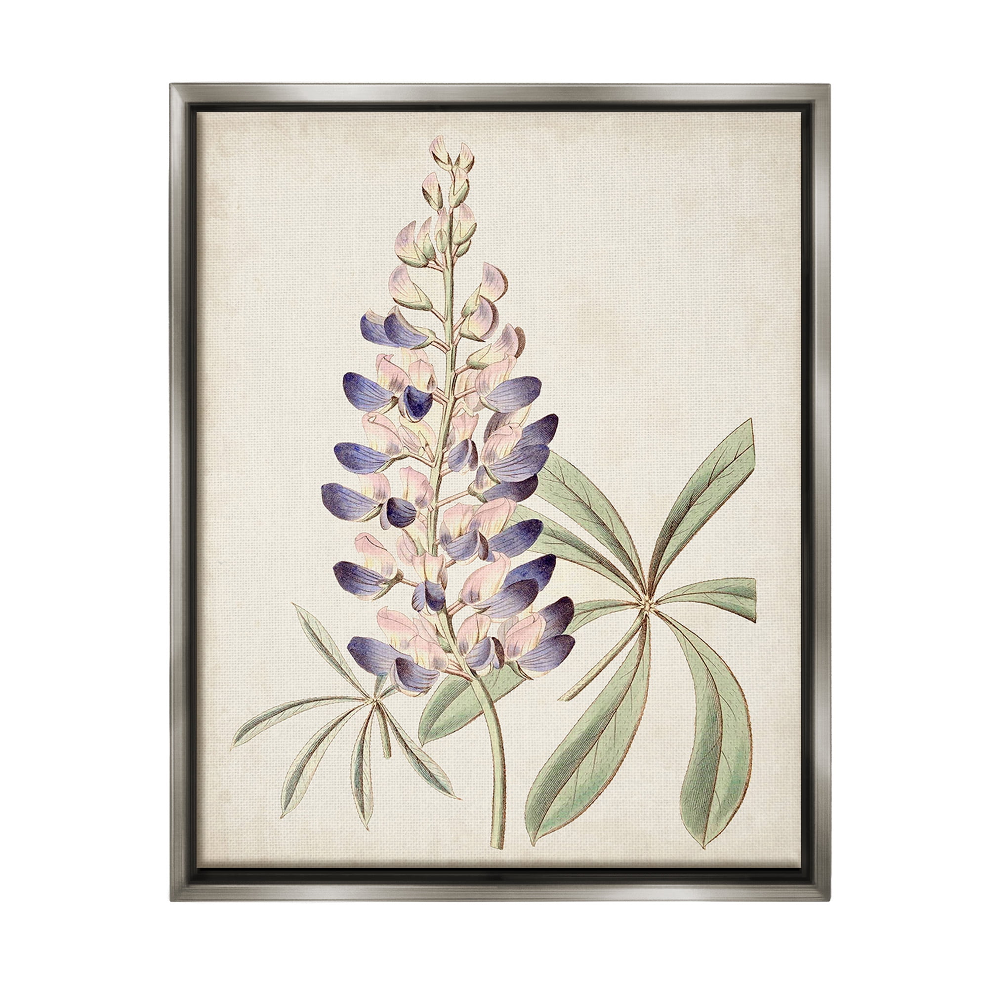 Stupell Industries Vintage Lupin Plant Botanical & Floral Painting Gray Floater Framed Canvas Art Print Wall Art, 25 x 31