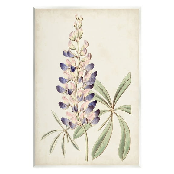 Stupell Industries Vintage Lupin Plant Botanical & Floral Painting Unframed Art Print Wall Art, 10 x 15