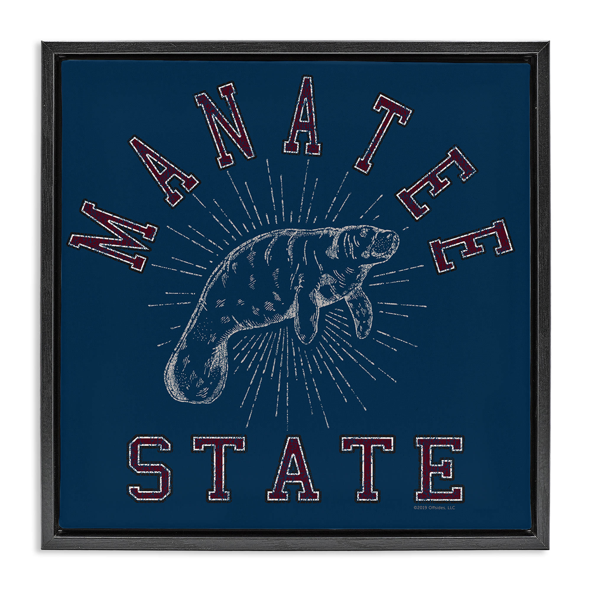 Stupell Industries Vintage Manatee State Animals Painting Black Floater Framed Canvas Art Print Wall Art, 25 x 25