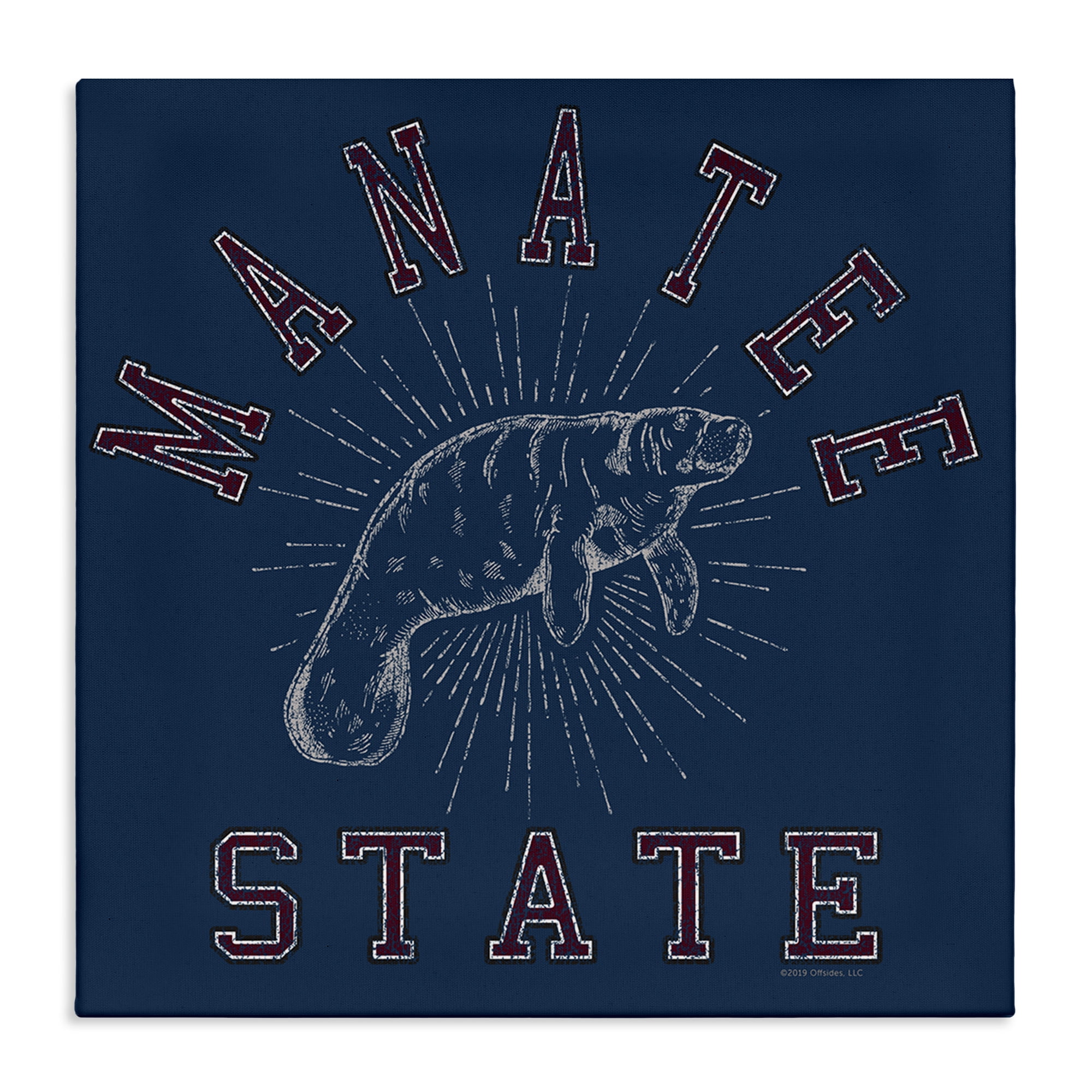 Stupell Industries Vintage Manatee State Animals Painting Wrapped Canvas Art Print Wall Art, 30 x 30
