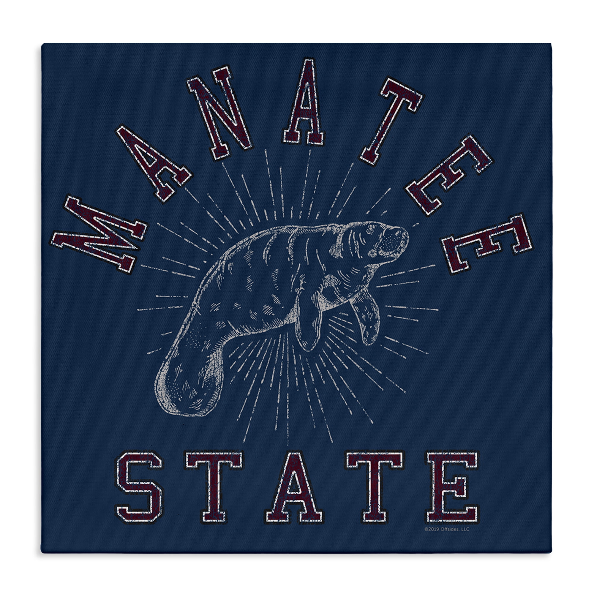 Stupell Industries Vintage Manatee State Animals Painting Wrapped Canvas Art Print Wall Art, 36 x 36