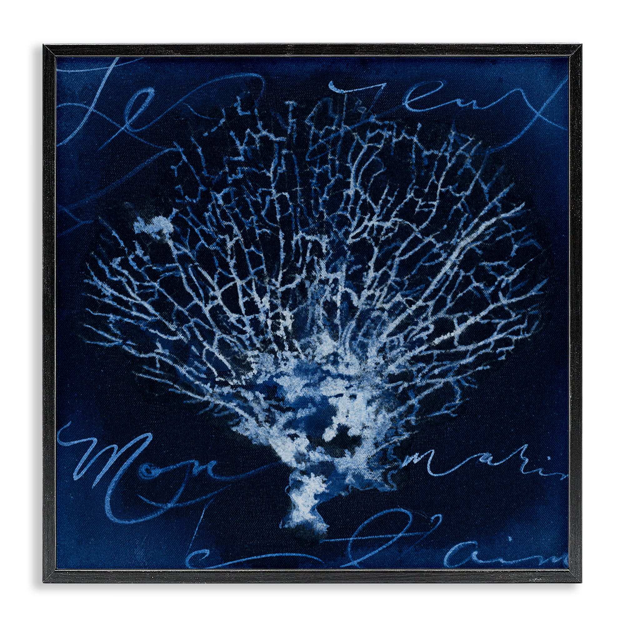 Stupell Industries Vintage Marine Life Coastal Painting Black Framed Art Print Wall Art, 17 x 17