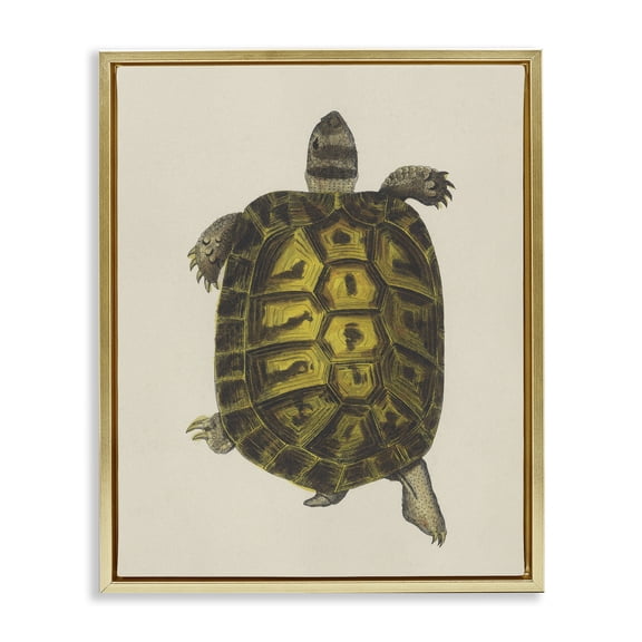 Stupell Industries Vintage Maritime Tortoise Animals Painting Gold Floater Framed Canvas Art Print Wall Art, 17 x 21