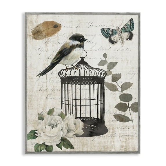 Stupell Industries Vintage Menagerie Bird Gray Framed Giclee Art design by Nan, 30 x 24