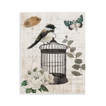 Stupell Industries Vintage Menagerie Bird Wall Plaque Art design by Nan, 14 x 11