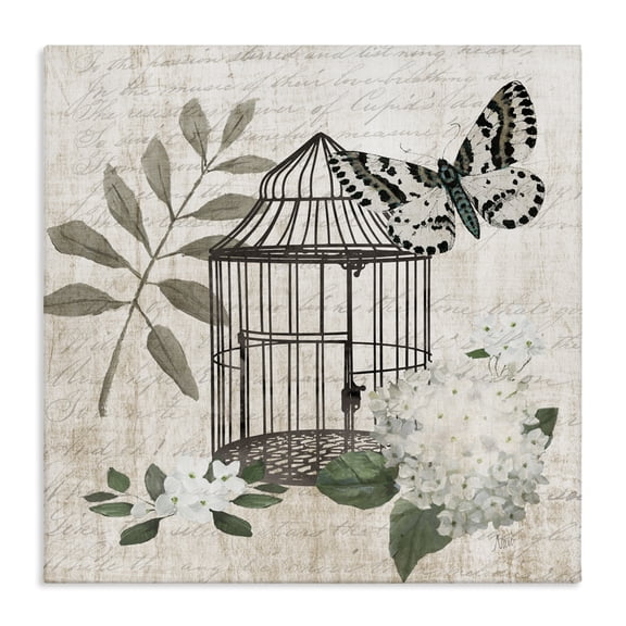 Stupell Industries Vintage Menagerie Butterfly Florals Canvas Wall Art design by Nan, 17 x 17