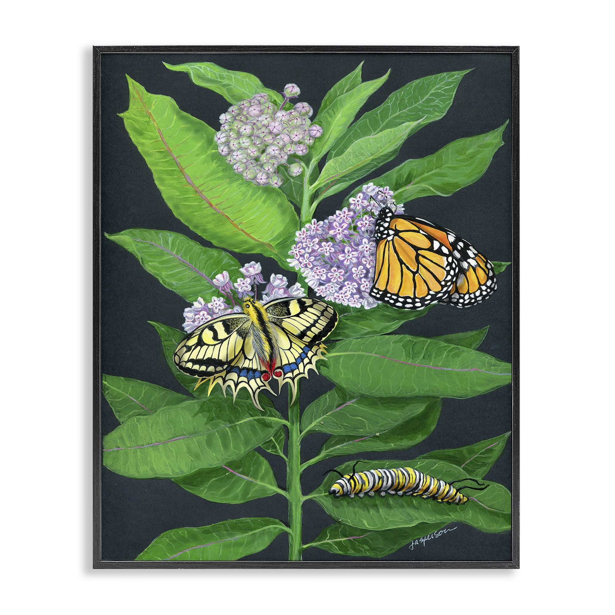 Stupell Industries Vintage Milkweed & Insects Animals & Insects Painting Black Framed Art Print Wall Art, 16 x 20