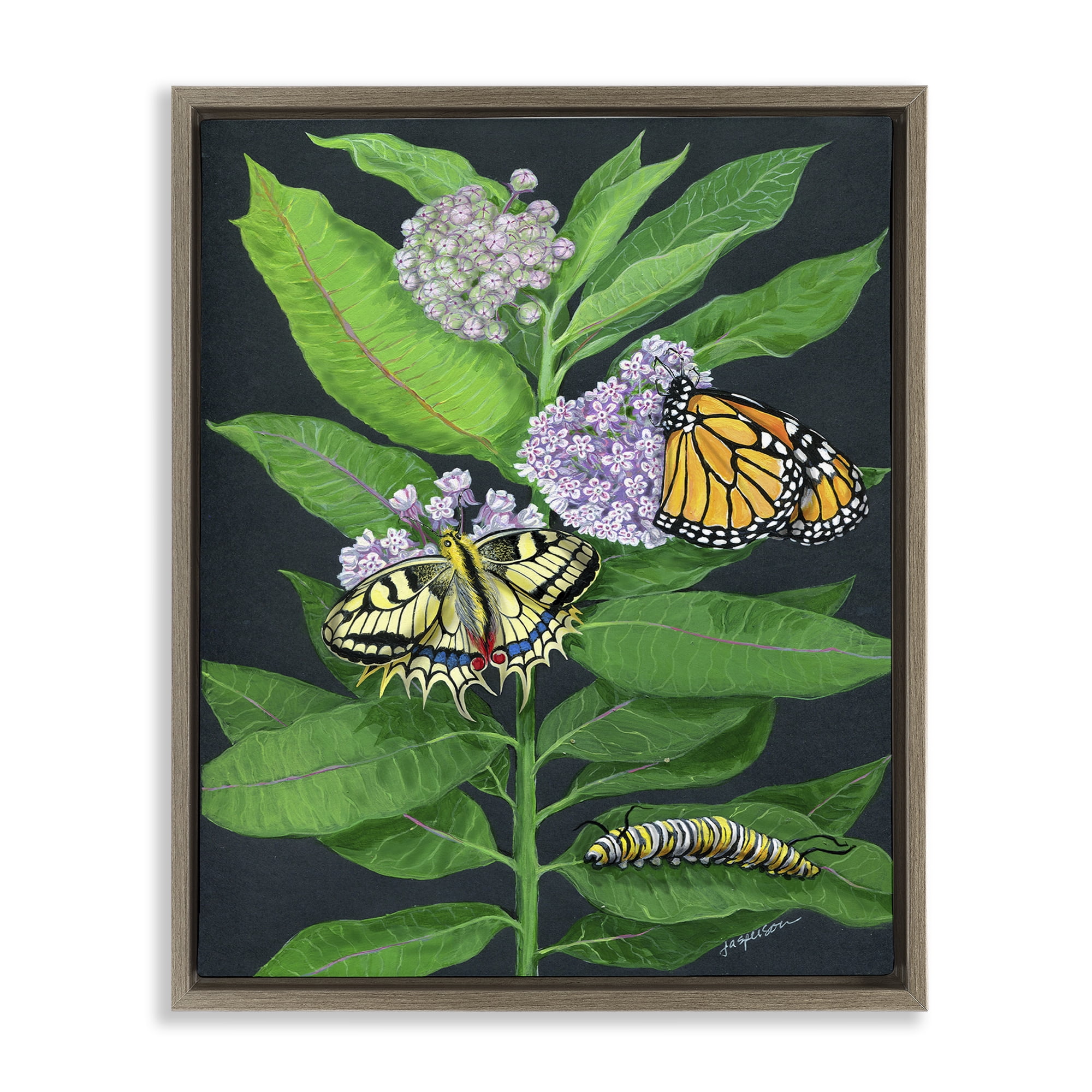 Stupell Industries Vintage Milkweed & Insects Animals & Insects Painting Brown Floater Framed Art Print Wall Art, 17 x 21