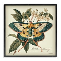 Stupell Industries Vintage Moth & Plant Study Animals Painting Black Framed Art Print Wall Art, 12 x 12
