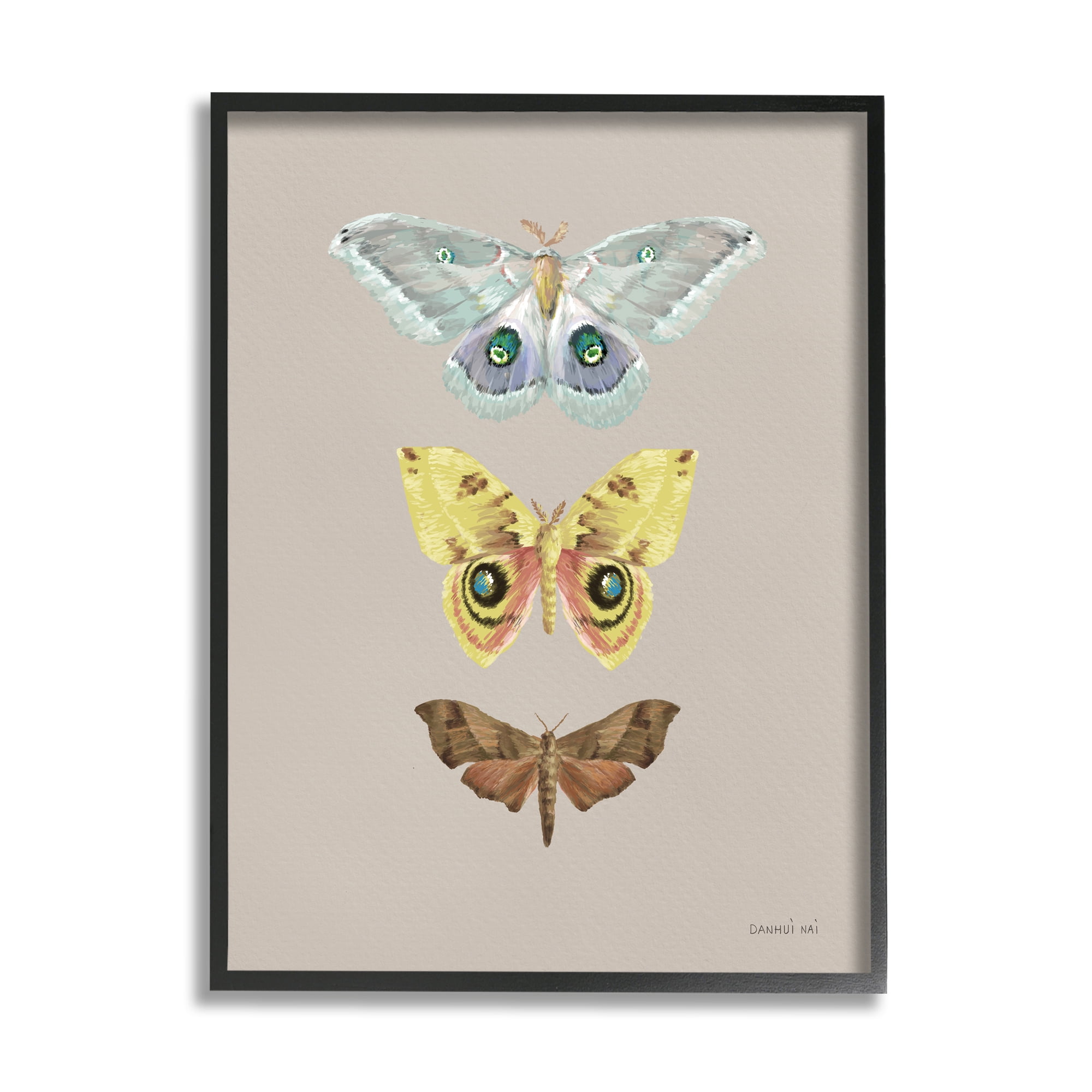 Stupell Industries Vintage Moth Species Animals & Insects Painting Black Framed Art Print Wall Art, 16 x 20