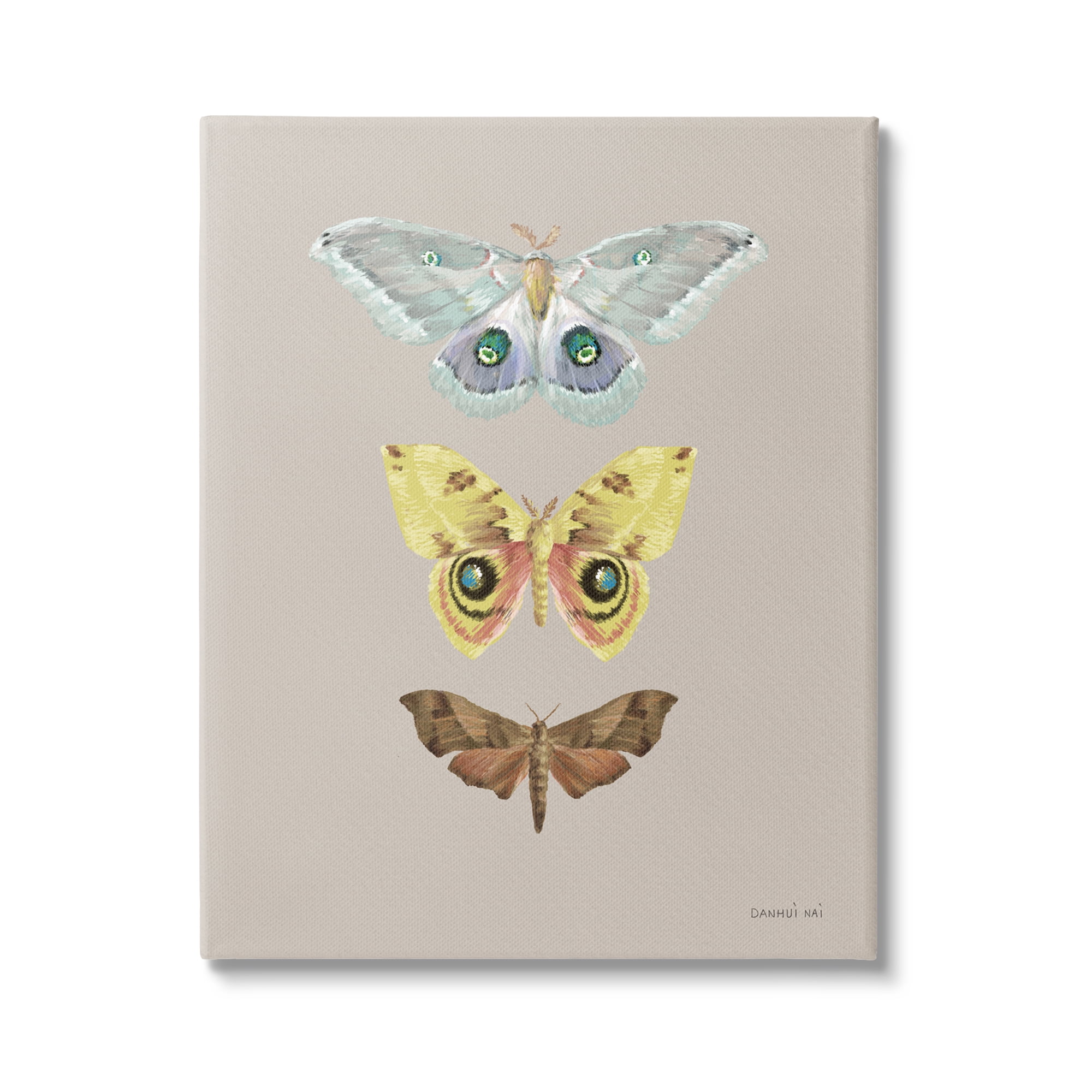 Vintage Moth Species Canvas Wall Art in Beige