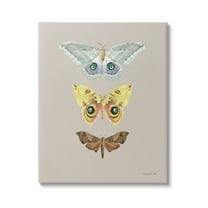 Stupell Industries Vintage Moth Species Animals & Insects Painting Gallery Wrapped Canvas Print Wall Art, 16 x 20